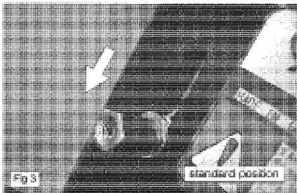 Fig. 5 Standard Pension