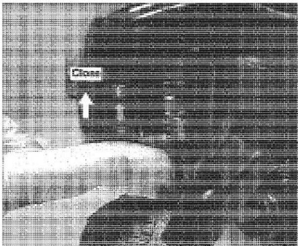Black-and-white photo of a person with visible text 'Cate' and an arrow pointing to the face area