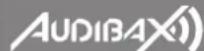 Audibax Control 384 - Common Terms - 1