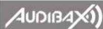 Audibax Control 384 - Action: - 1