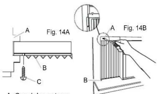 Fig. 14A A B C A Fig. 14B B A. Canal de ventro