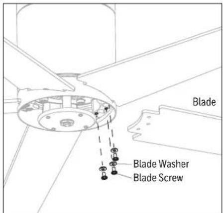 Blade Blade Washer Blade Screw