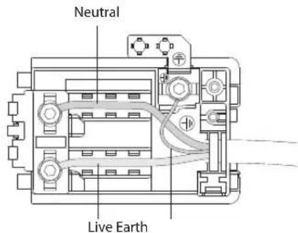 Neutral Live Earth