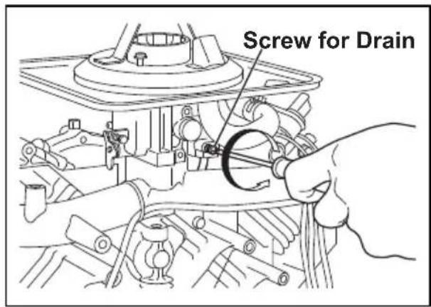 Screw for Drain
