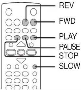 REV FWD PLAY PAUSE STOP SLOW