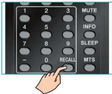 1 2 3 MUTE 4 5 6 INFO 7 8 9 SLEEP - 0 RECALL MTS