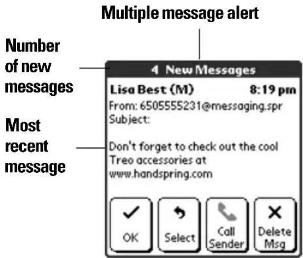 Multiple message alert Number of new messages Most recent message 4 New Messages Lisa Best (M) 8:19 pm From: 6505555231@messaging.spr Subject: Don't forget to check out the cool Treo accessories at www.handspring.com OK Select Call Sender Delete Msg