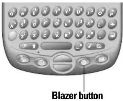 Blazer button