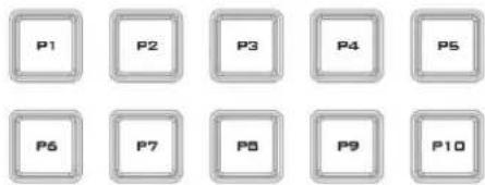 P1 P2 P3 P4 P5 P6 P7 P8 P9 P10