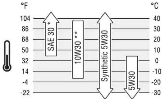 Craftsman CMXGGAS030732 - Oil Recommendations - 1