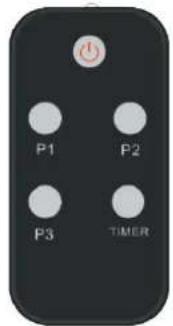 P1 P2 P3 TIMER