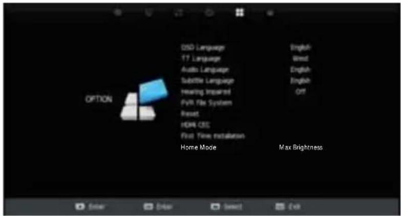 OPTION O5D Language 17 Language Audio Language Subtile Language Hearing Impaired PyR File System Reset HDR CSS First Time Installation Home Mode English Word English English OFF Max Brightness