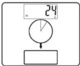 24