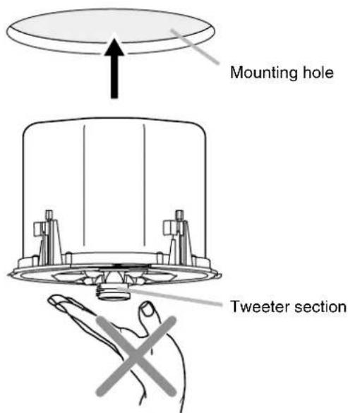 Mounting hole Tweeter section