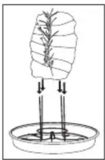 CUISINART CVR-1000 - Cooking with the Roasting Rack - 1