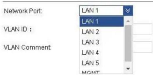Network Port: LAN 1 VLAN ID : LAN 1 LAN 2 LAN 3 LAN 4 LAN 5 MGMT