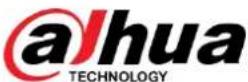 Dahua Technology PFM888 - Logout - 2