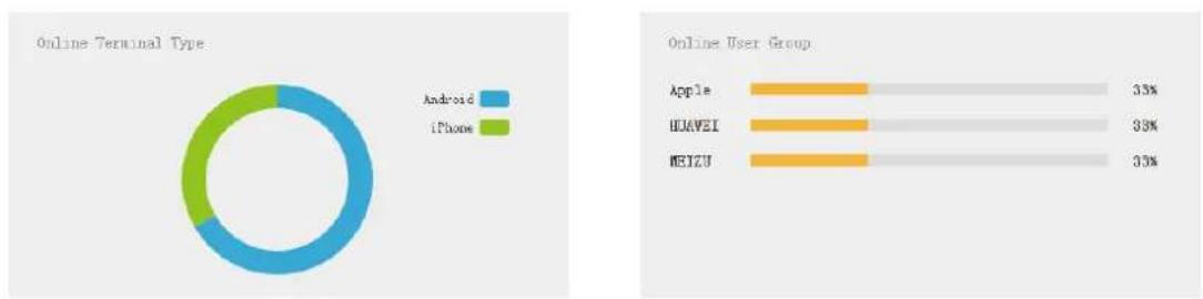 Dahua Technology PFM888 - Information Statistics - 1