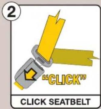 2 "CLICK" CLICK SEATBELT