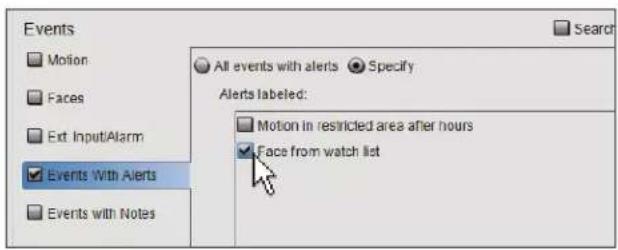 Events Motion Faces Ext Input/Alarm Events With Alerts Events with Notes All events with alerts Specify Alerts labeled: Motion in restricted area after hours Face from watch list