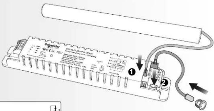 SCHNEIDER OVA43500 - Schneider - 5