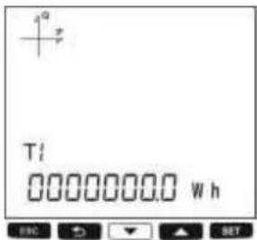 T1 0000000.0 Wh
