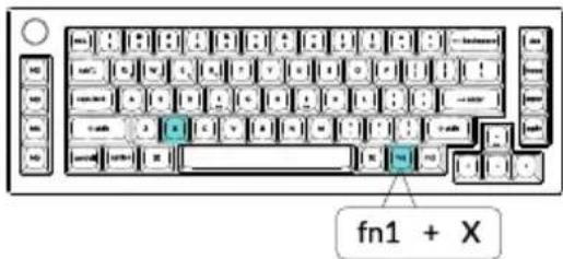 fn1 + X