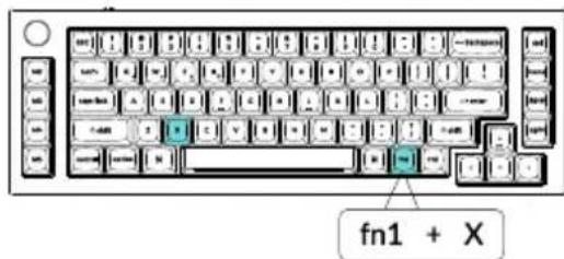 fn1 + X