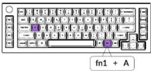fn1 + A