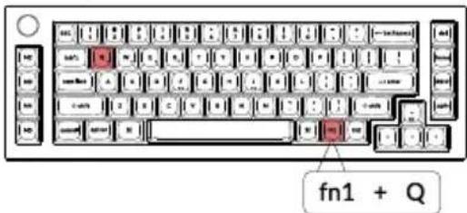 fn1 + Q