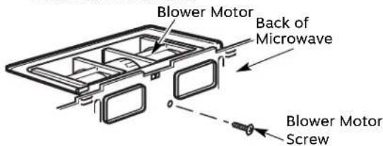 Blower Motor Back of Microwave Blower Motor Screw