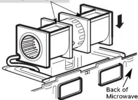 Back of Microwave