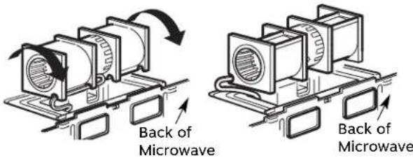 Back of Microwave Back of Microwave