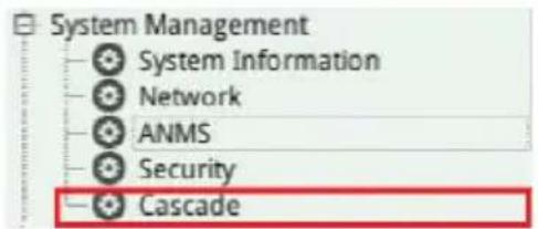 System Management System Information Network ANMS Security Cascade