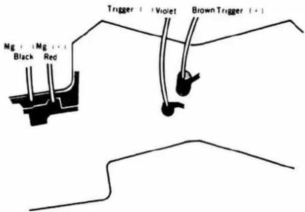Mg | Mg | Black Red Trigger | Violet Brown Trigger + -