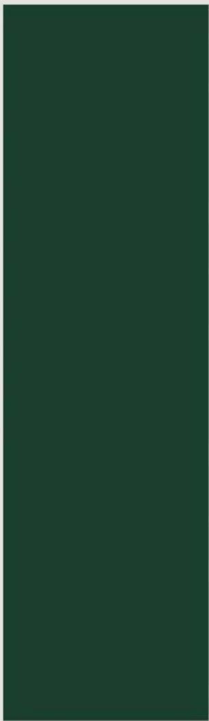 Solid dark green rectangle with no visible text, symbols, or features.