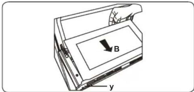 B y