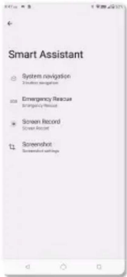 Smart Assistant System navigation 2-hourcare navigation Emergency Rescue Emergency Rescue Screen Record Screen Record Screenshot Screen Record settings