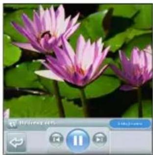 PALM Treo 755p - Viewing Streamed Media - 1