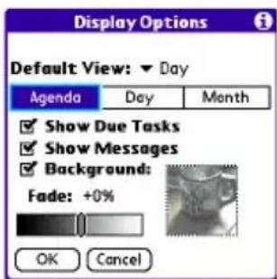 Display Options Default View: ▼ Day Agenda Day Month ✓ Show Due Tasks ✓ Show Messages ✓ Background: Fade: +0% OK Cancel