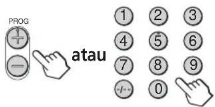 PROG atau