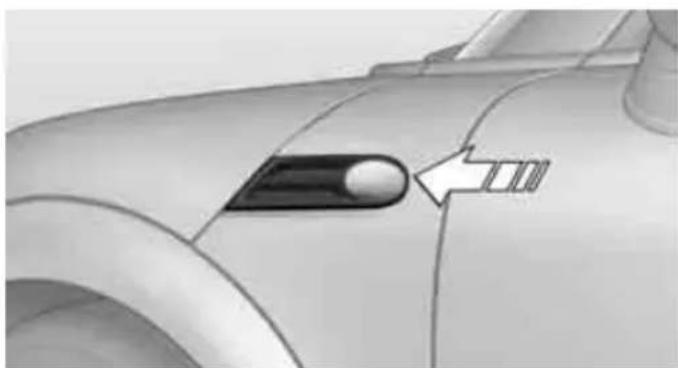 Close-up of a car's side profile with a black handle and arrow pointing to the nose area (no text or symbols visible)