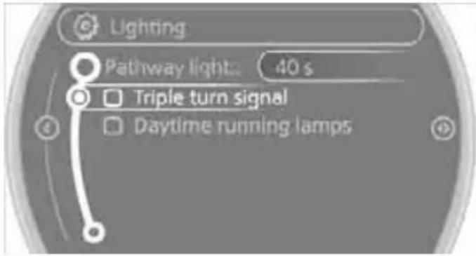 Lighting Pathway light... 40 s Triple turn signal Daytime running lamps