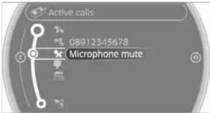 Active calls 08912345678 Microphone mute