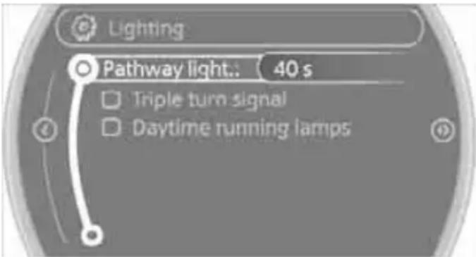 Lighting Pathway light: 40 s Triple turn signal Daytime running lamps