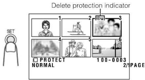 Delete protection indicator 1 2 3 4 5 6 PROTECT NORMAL 100 - 0003 2/1 PAGE