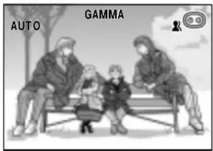 AUTO GAMMA
