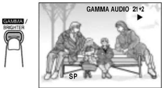 GAMMA / BRIGHTER SP GAMMA AUDIO 21+2