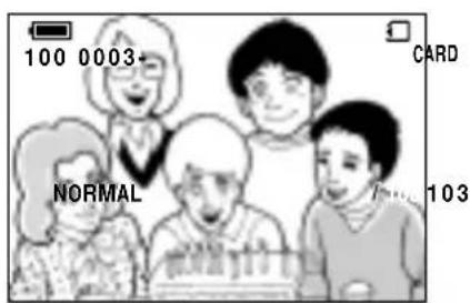 100 0003 TARJETA NORMAL 103
