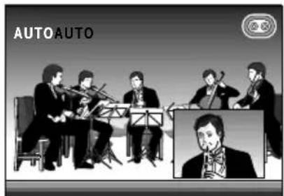 AUTO AUTO